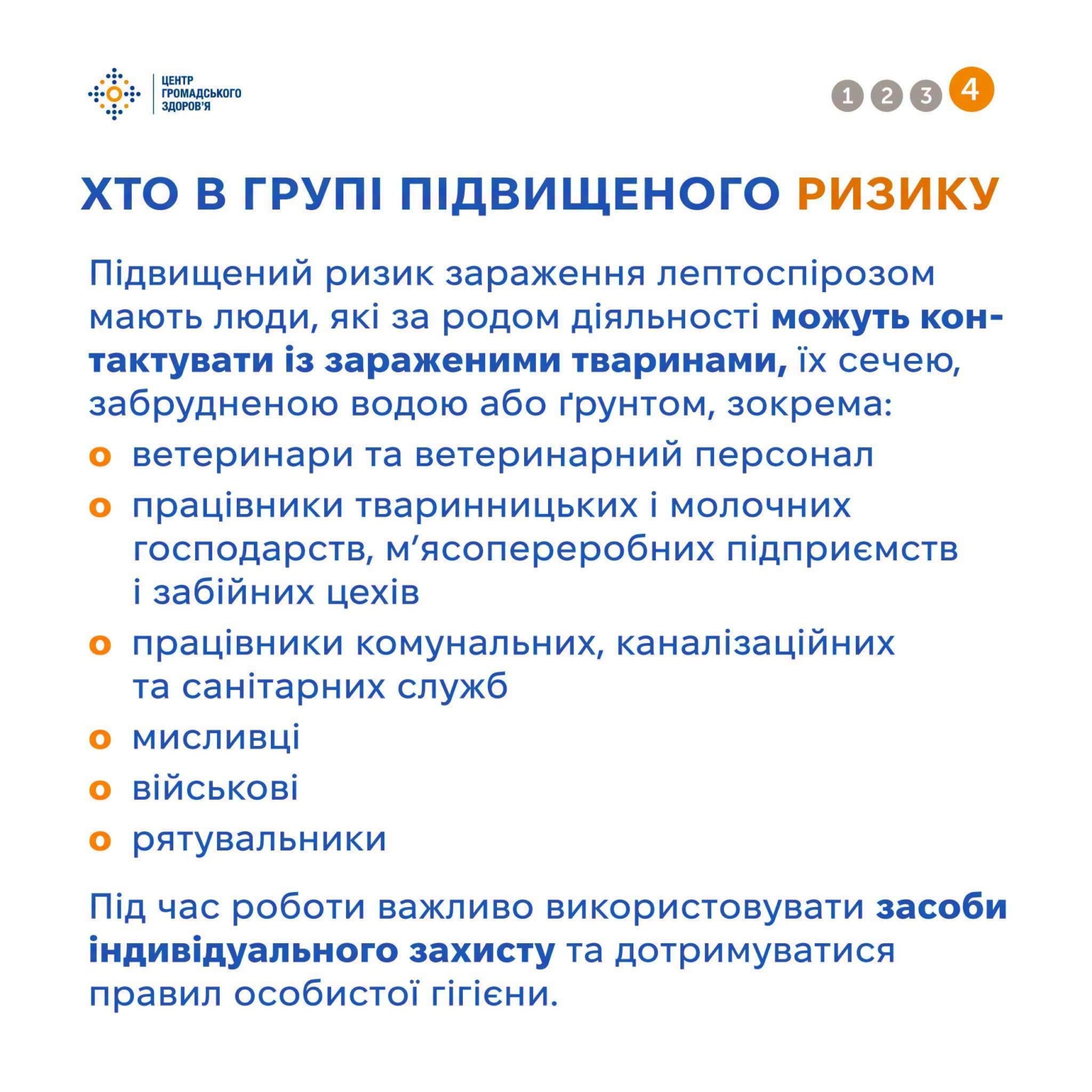 Новини Житомира - фото з Восени гризуни мігрують ближче до людей: як убезпечитися від хвороб, які вони переносять