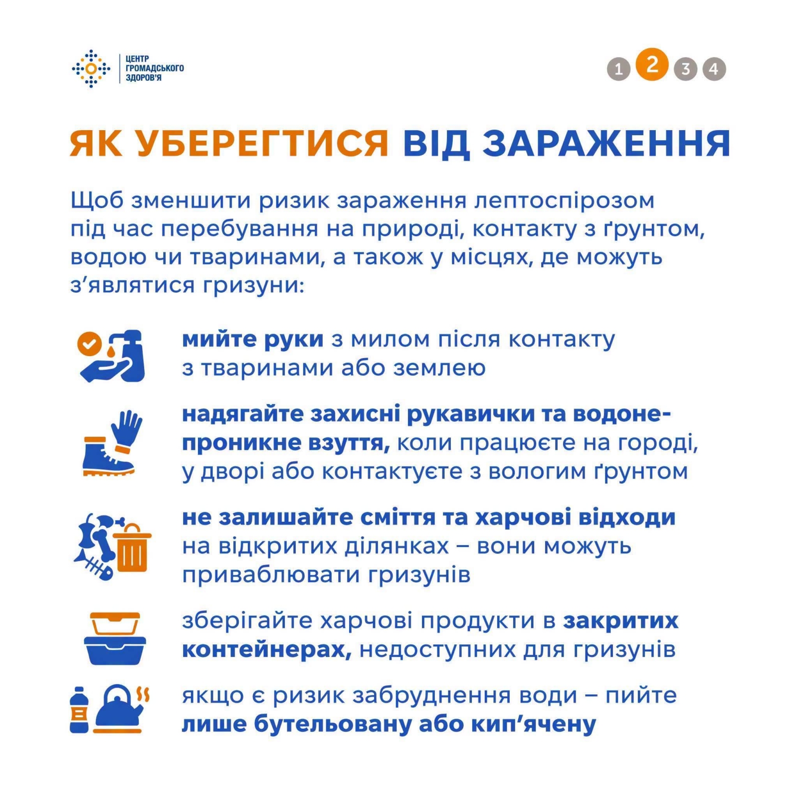 Новини Житомира - фото з Восени гризуни мігрують ближче до людей: як убезпечитися від хвороб, які вони переносять