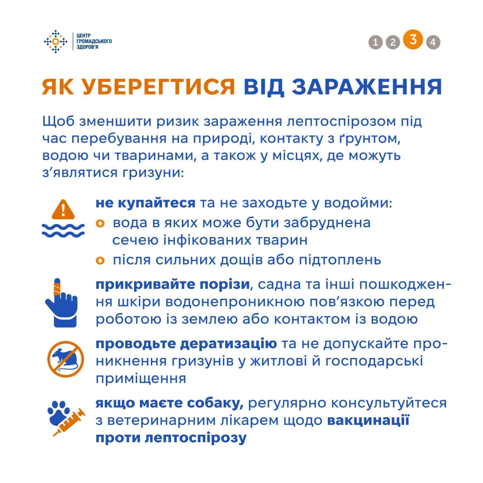 Новини Житомира - фото з Восени гризуни мігрують ближче до людей: як убезпечитися від хвороб, які вони переносять