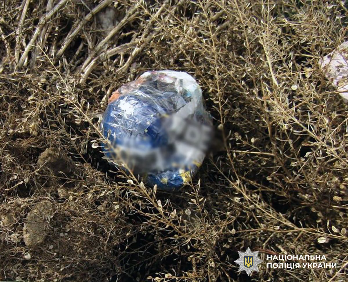 Новини Житомира - фото з У Бердичеві поліція затримала підозрюваного у передачі наркотиків до виправного центру