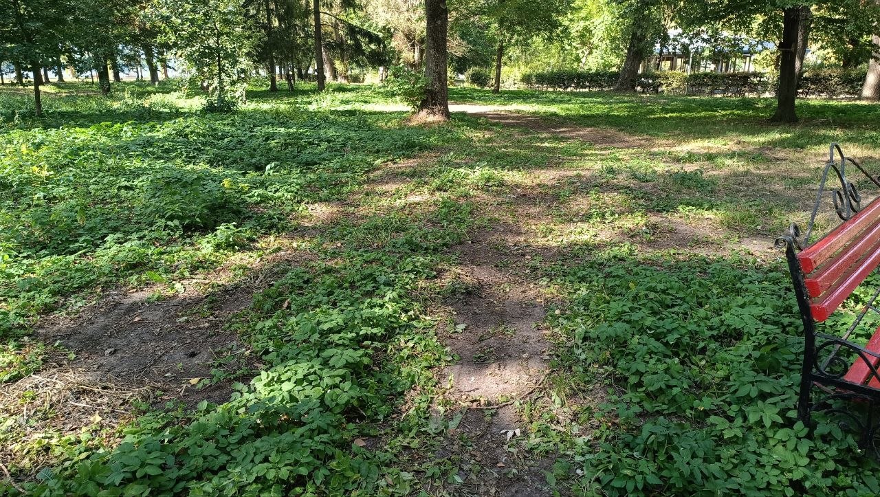 Новини Тернополя - фото з Містяни помітили зламані лавки і знищені зелені зони у парку Шевченка. В чому причина