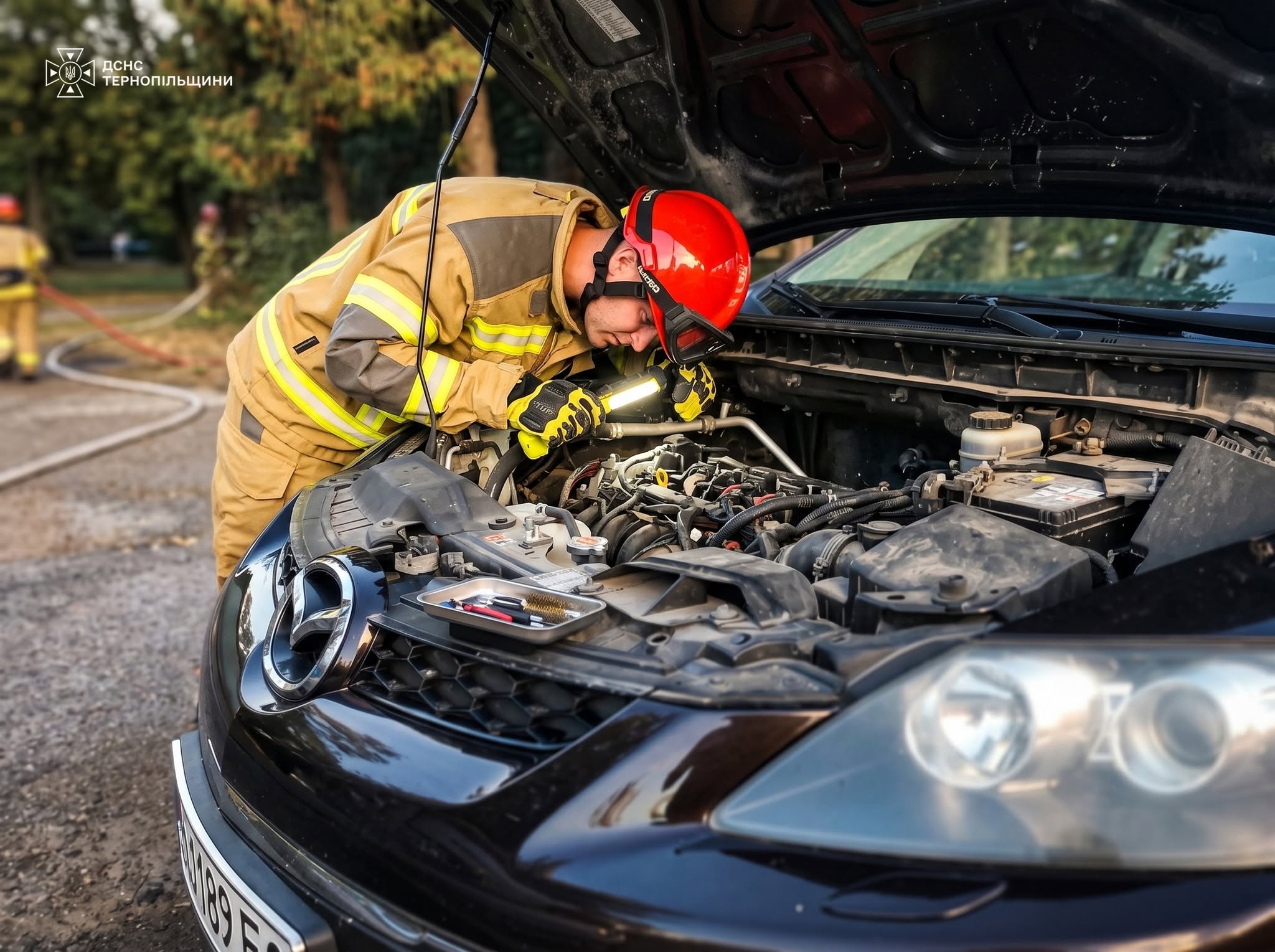 Новини Тернополя - фото з Змію з-під капота автомобіля витягували рятувальники на Білецькій