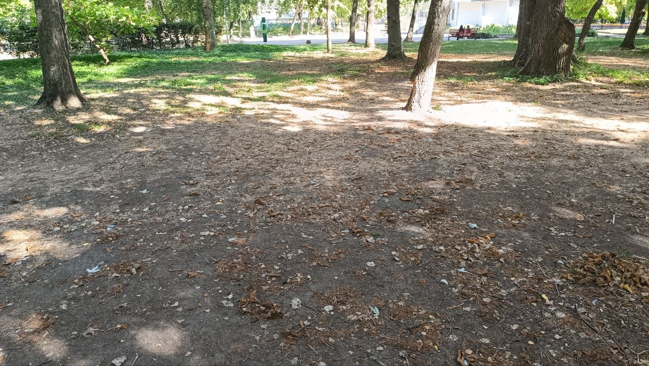 Новини Тернополя - фото з Містяни помітили зламані лавки і знищені зелені зони у парку Шевченка. В чому причина