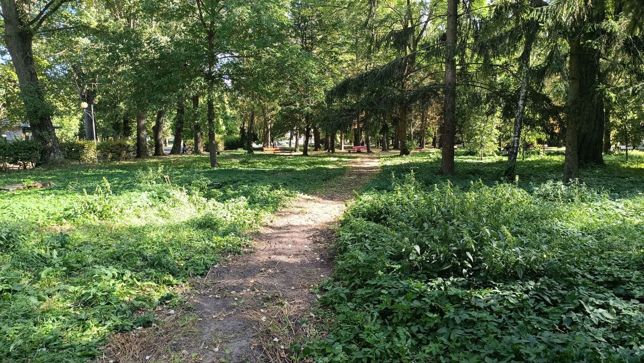 Новини Тернополя - фото з Містяни помітили зламані лавки і знищені зелені зони у парку Шевченка. В чому причина