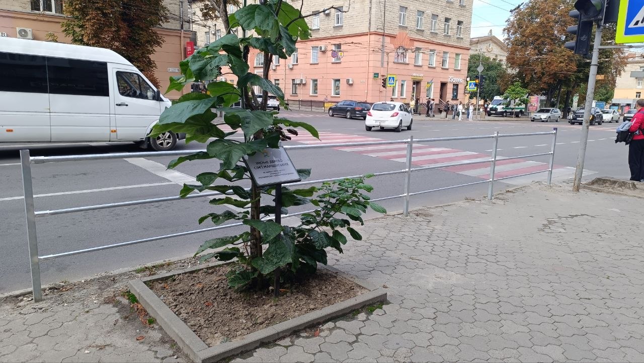 Новини Тернополя - фото з Понад 1,7 мільйона на огородження: де у Тернополі встановлюють нові паркани