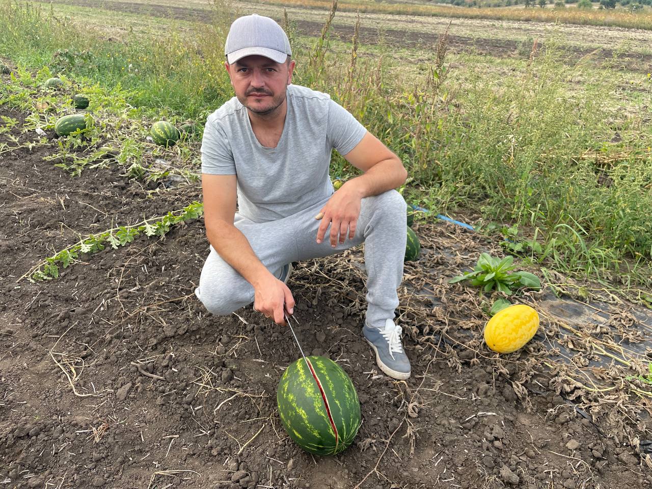 Новини Тернополя - фото з «Наші кавуни не гірші за херсонські»: ветеран вирощує баштан на Бережанщині