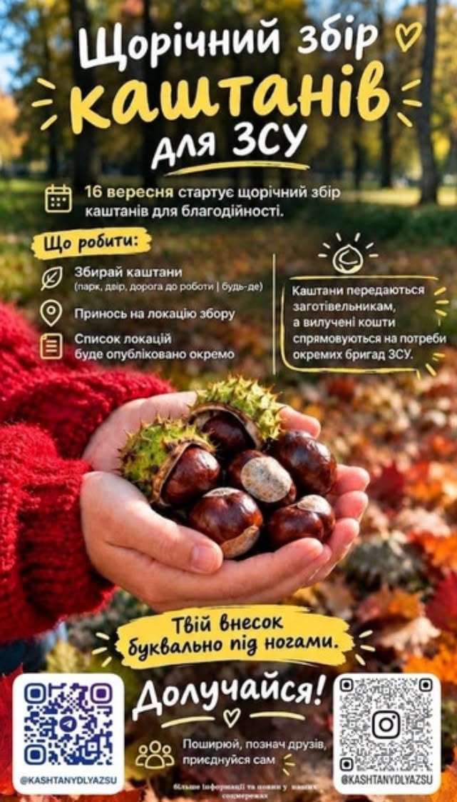 Новини Житомира - фото з У Житомирі стартував уже п’ятий збір каштанів на підтримку ЗСУ