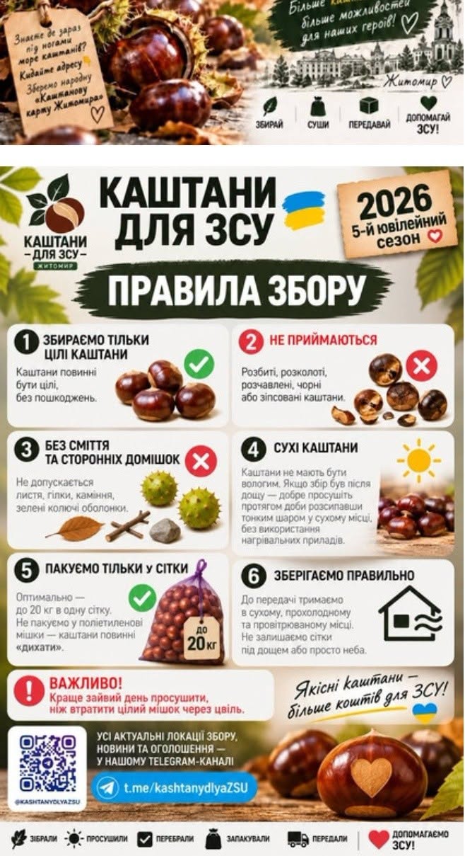 Новини Житомира - фото з У Житомирі стартував уже п’ятий збір каштанів на підтримку ЗСУ