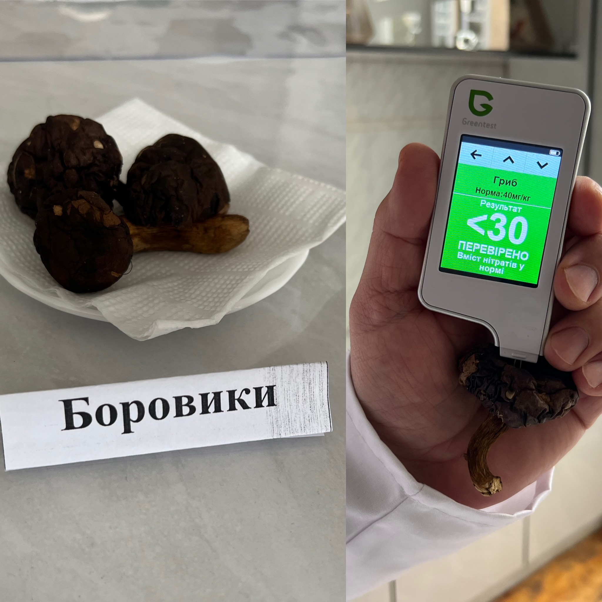 Новини Вінниці - фото з Лісові проти промислових: науковці Торговельно-економічного інституту перевірили, в яких грибах нітратів більше