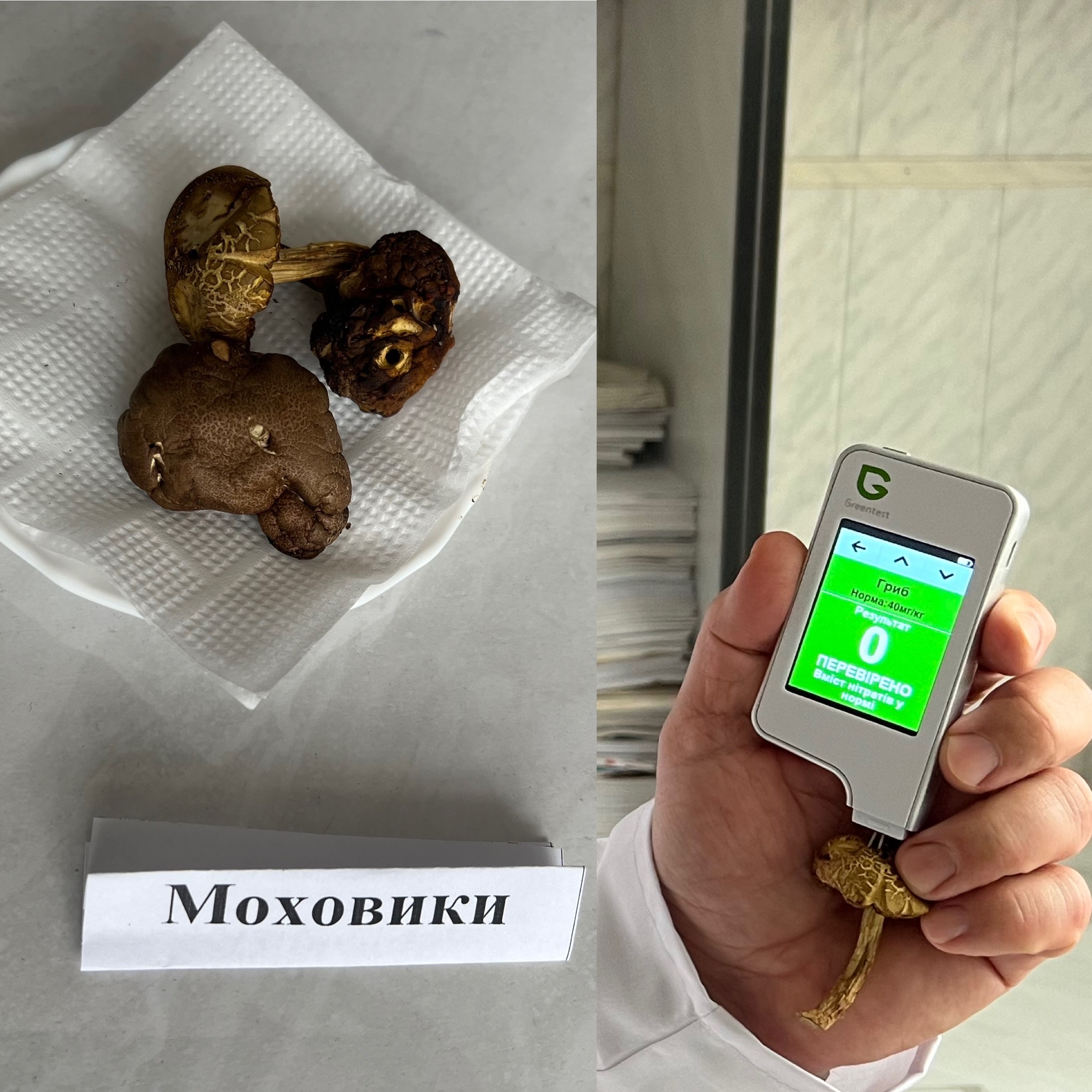 Новини Вінниці - фото з Лісові проти промислових: науковці Торговельно-економічного інституту перевірили, в яких грибах нітратів більше
