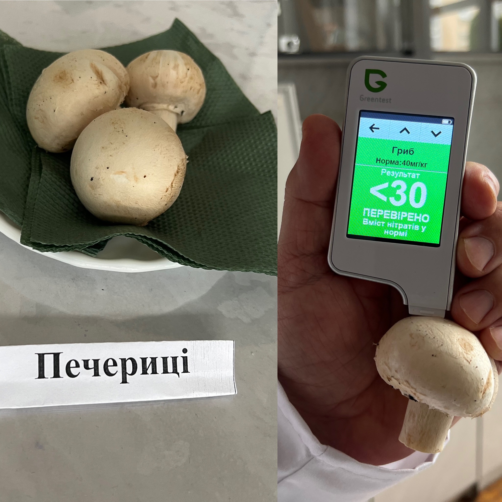 Новини Вінниці - фото з Лісові проти промислових: науковці Торговельно-економічного інституту перевірили, в яких грибах нітратів більше