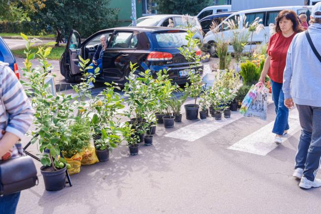 Новини Вінниці - фото з Овочі, мед, м’ясо та саджанці. У Вінниці триває осінній ярмарок