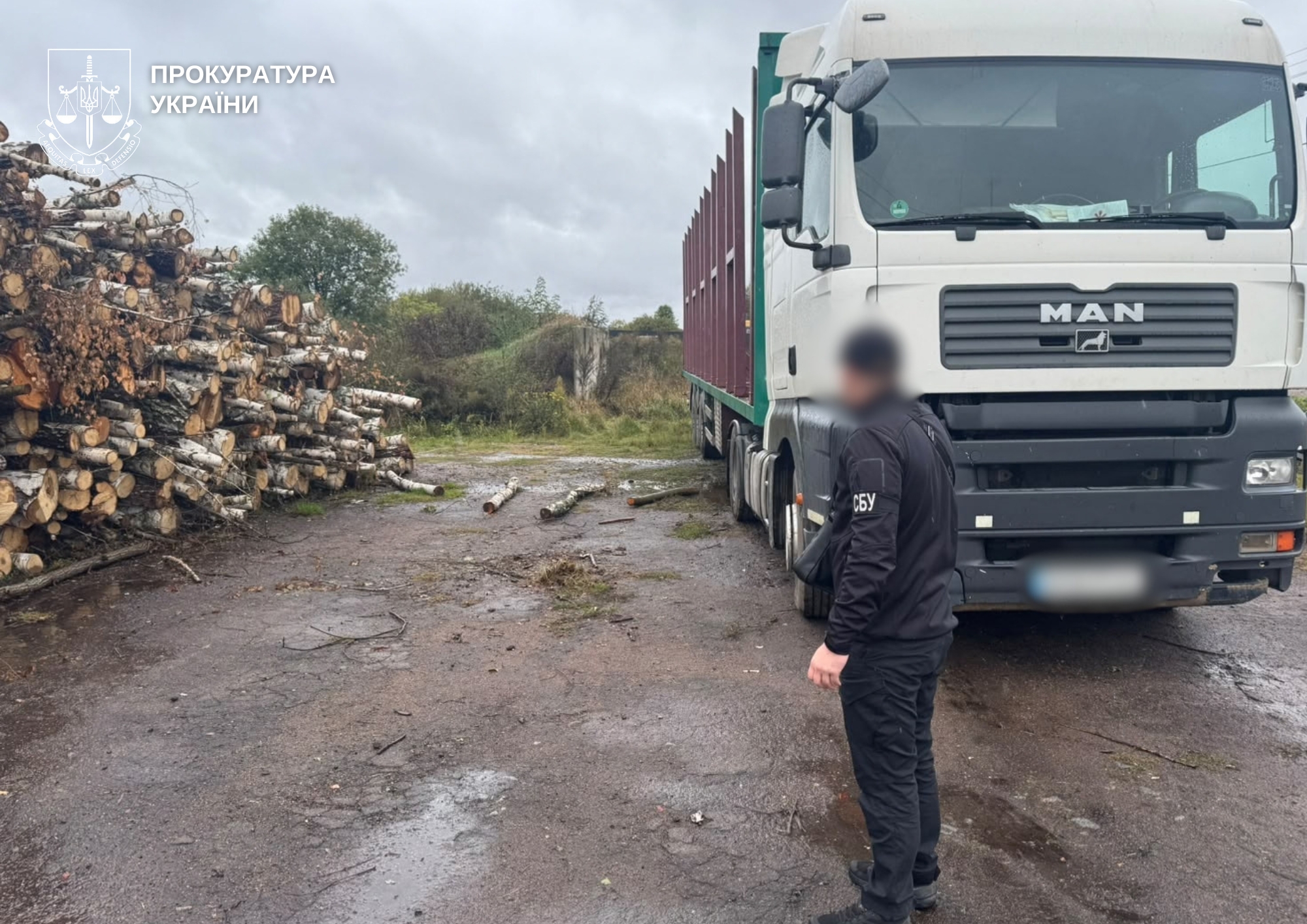 Новини Житомира - фото з Понад 8800 незаконно зрубаних дерев на Житомирщині та 33 млн грн шкоди: екологічні прокурори повідомили про підозру чотирьом особам
