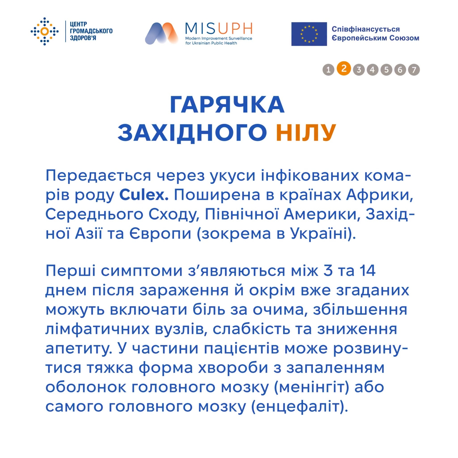 Новини Житомира - фото з Вірусні гарячки,які переносять комахи та кліщі: що потрібно знати перед поїздкою за кордон