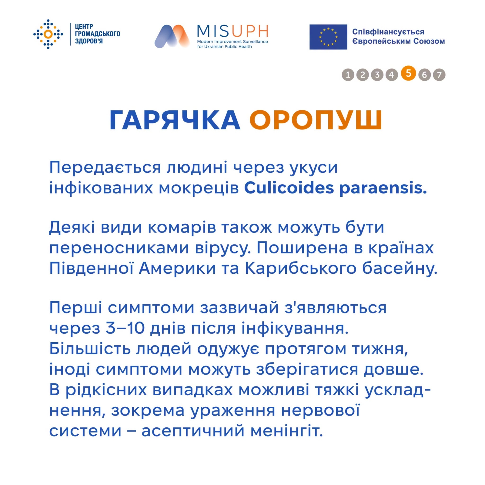 Новини Житомира - фото з Вірусні гарячки,які переносять комахи та кліщі: що потрібно знати перед поїздкою за кордон