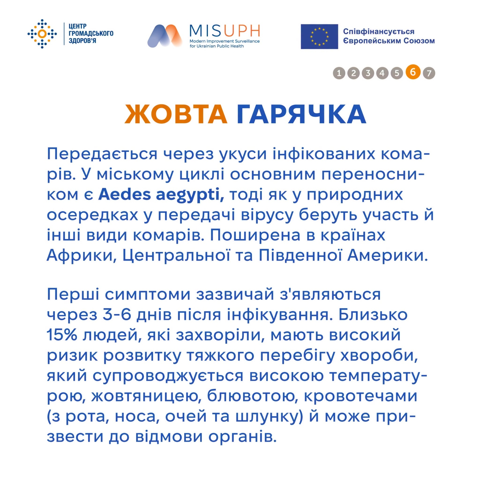 Новини Житомира - фото з Вірусні гарячки,які переносять комахи та кліщі: що потрібно знати перед поїздкою за кордон