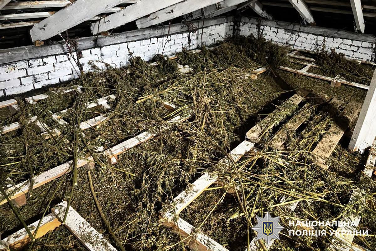 Новини Хмельницького - фото з Подружжя з Хмельницького займалося наркобізнесом