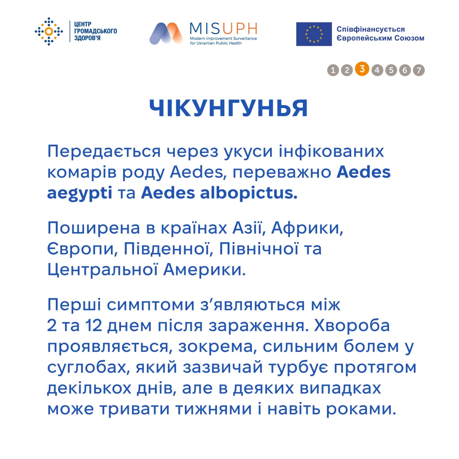 Новини Житомира - фото з Вірусні гарячки,які переносять комахи та кліщі: що потрібно знати перед поїздкою за кордон