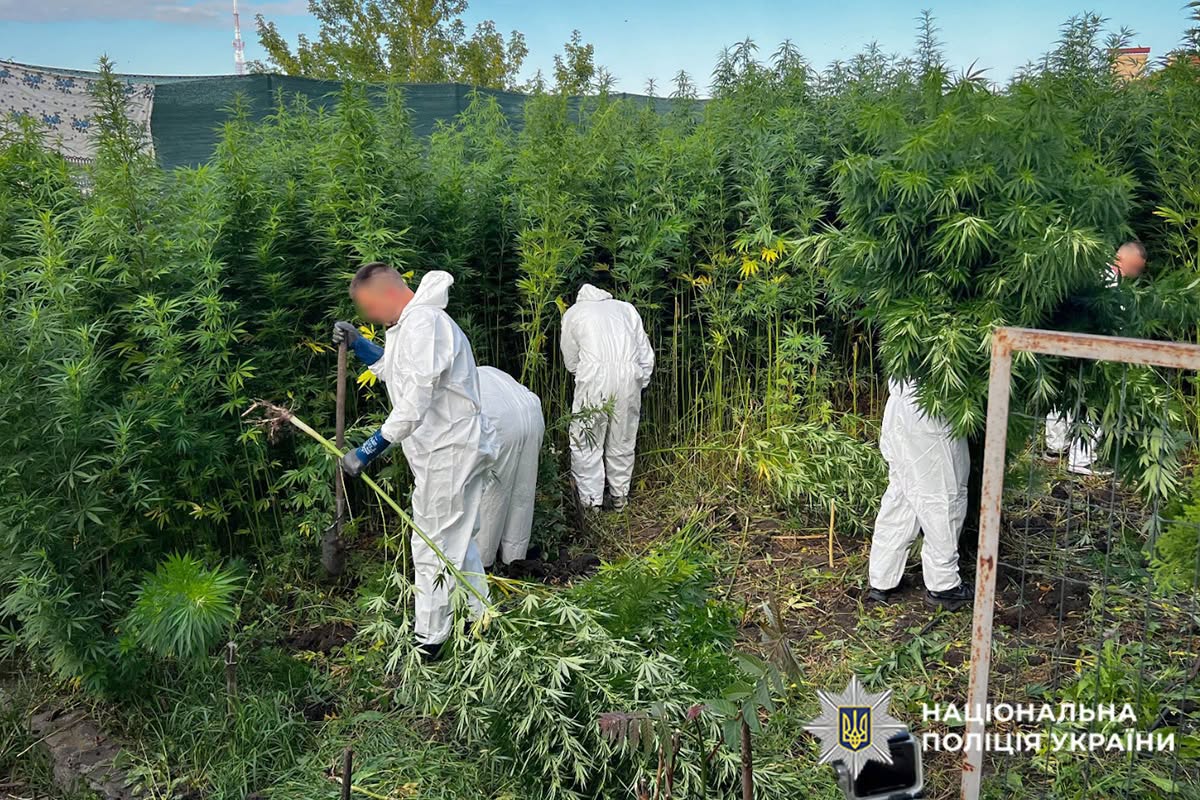 Новини Хмельницького - фото з Подружжя з Хмельницького займалося наркобізнесом