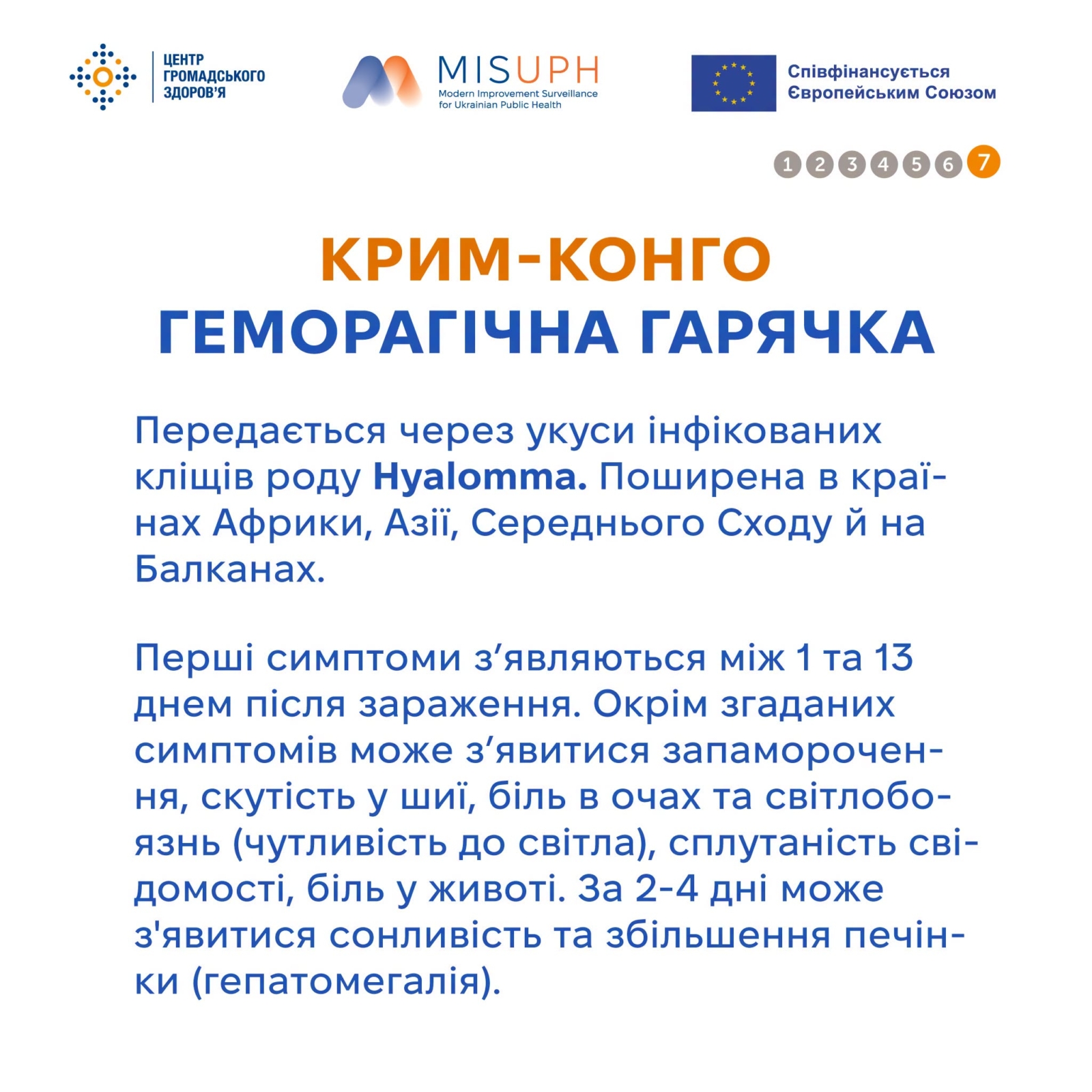 Новини Житомира - фото з Вірусні гарячки,які переносять комахи та кліщі: що потрібно знати перед поїздкою за кордон