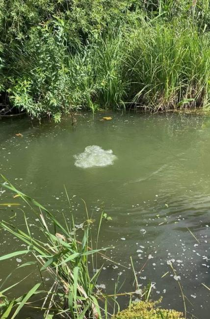 Новини Вінниці - фото з Водолази обстежили труби на дні Південного Бугу та знайшли витік