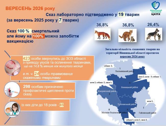 Новини Вінниці - фото з Лисиці, коти й собаки: на Вінниччині виявили понад сотню скажених тварин