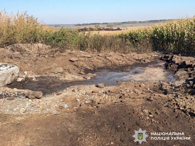 Новини Вінниці - фото з Мертвих тварин роками закопували в землю? На Вінниччині розслідують забруднення сільгоспугідь