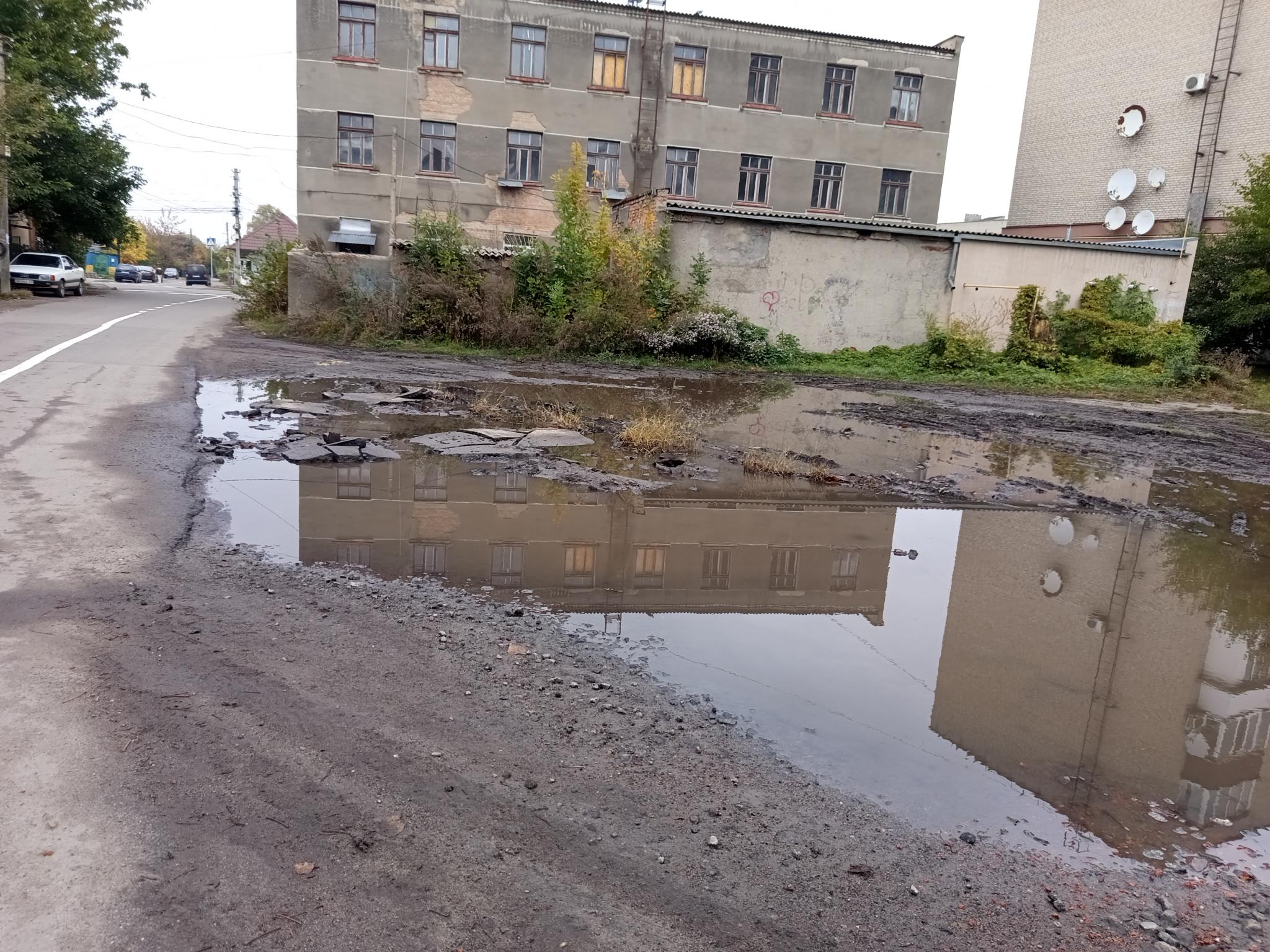 Новини Козятина - фото з Асфальт «проріс» із калюжі