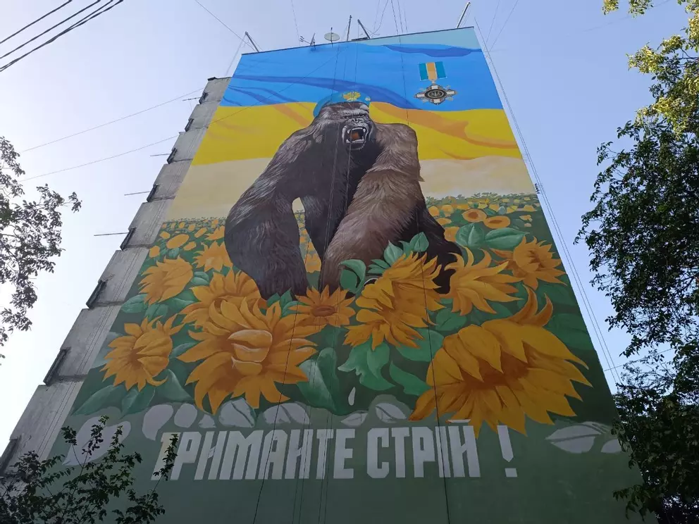 Новини Вінниці - фото з Ви точно їх бачили, але чи роздивлялися? Добірка муралів Вінниці