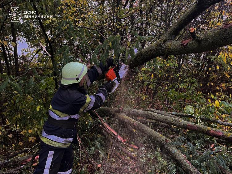 Новини Вінниці - фото з Сильний вітер валив дерева на дороги: рятувальники п’ять разів виїжджали на виклики