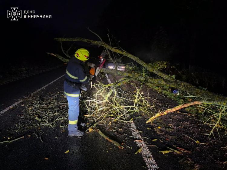 Новини Вінниці - фото з Сильний вітер валив дерева на дороги: рятувальники п’ять разів виїжджали на виклики