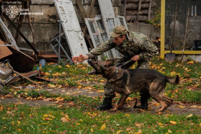 Новини Вінниці - фото з У Вінниці службові собаки шукали людей під завалами — тренувалися рятувальники та поліцейські