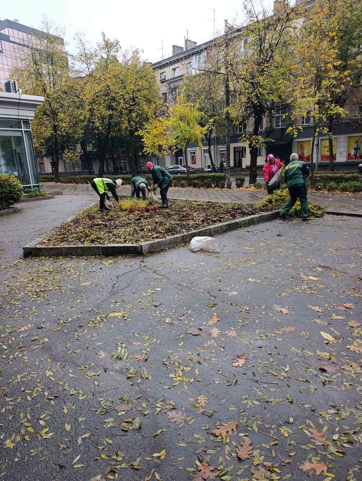 Новини Житомира - фото з У Житомирі триває осіннє прибирання