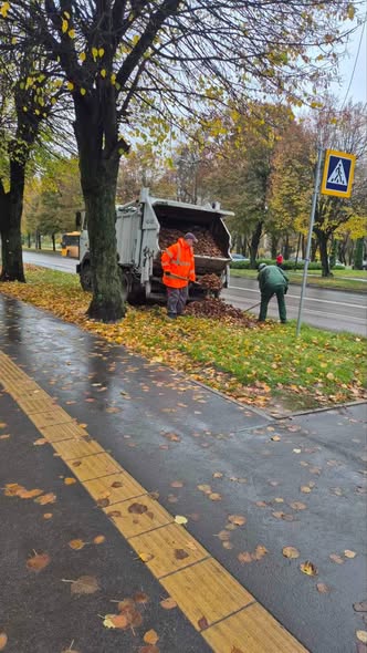Новини Житомира - фото з У Житомирі триває осіннє прибирання