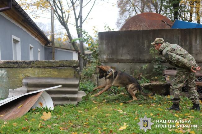 Новини Вінниці - фото з У Вінниці службові собаки шукали людей під завалами — тренувалися рятувальники та поліцейські