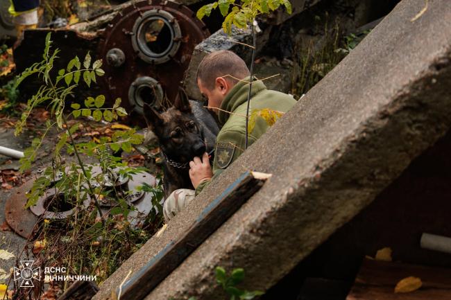 Новини Вінниці - фото з У Вінниці службові собаки шукали людей під завалами — тренувалися рятувальники та поліцейські