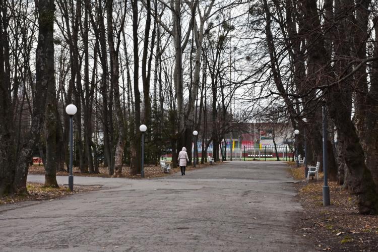 Новини Вінниці - фото з Нові алеї та зони відпочинку? Як планують змінити парк Леонтовича і чи є на це гроші