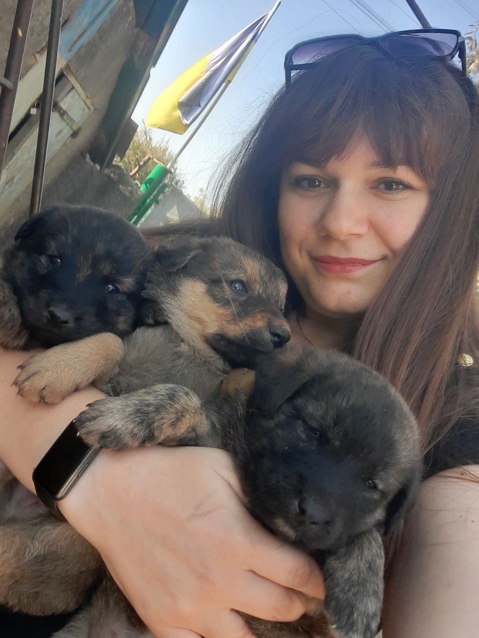Новини Вінниці - фото з «Якщо повертаюся без чотирилапих, поїздка не вдалася»: три роки вінничанка рятує тварин з фронту
