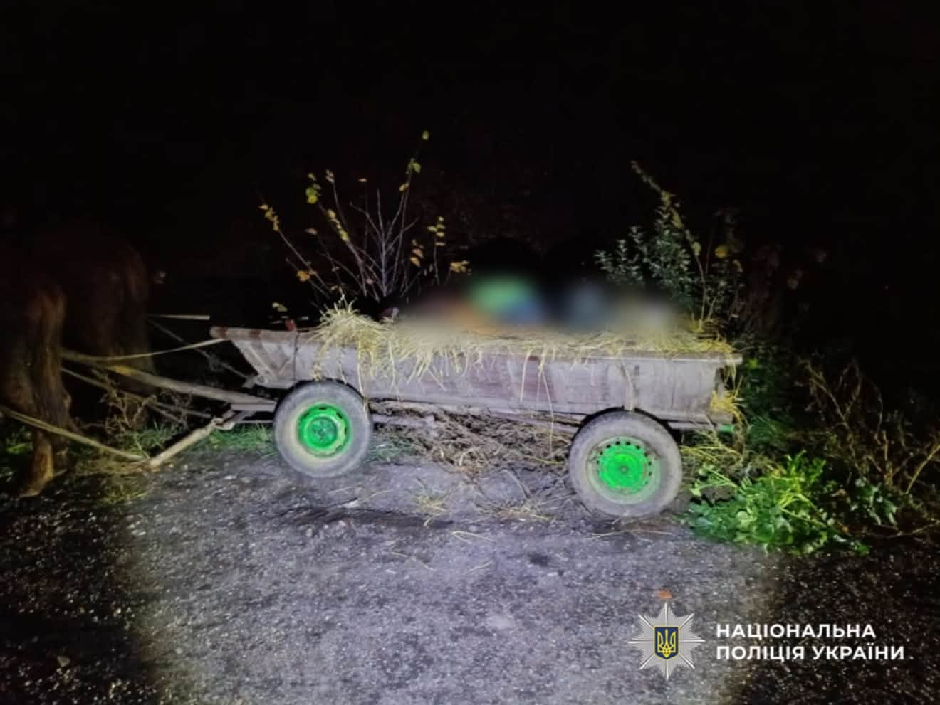 Новини Житомира - фото з Неподалік Житомира зіткнулися пасажирський автобус і віз: травмовано пасажирку гужової повозки